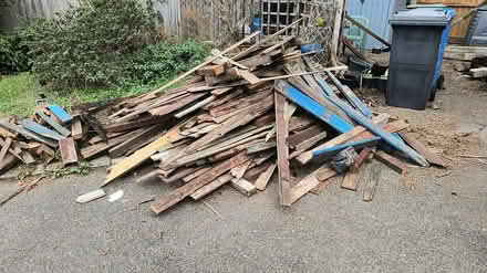 Photo of free Amount of Wood for Bonfire IP2 (Chantry IP2) #1