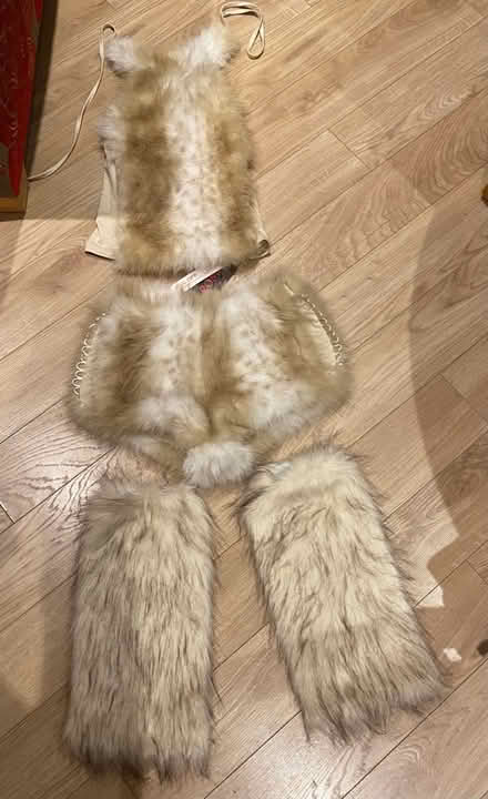 Photo of free Cave woman costume (GL3 Churchdown) #1