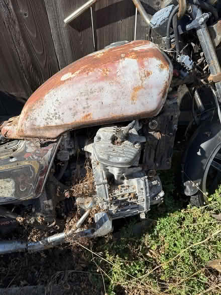 Photo of free Motorcycle (Hayward) #3