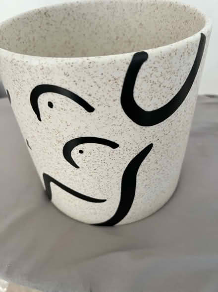 Photo of free Plant pot (Battersea SW11) #1