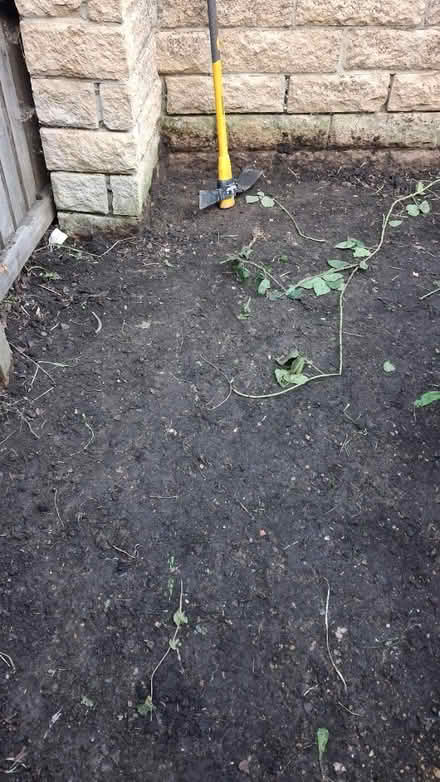 Photo of free Loose top soil (Idle) #2