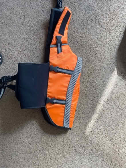 Photo of free Dog life jacket (Torquay TQ1) #1