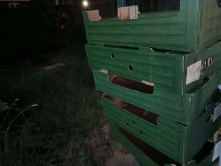 Photo of free Boxes (Putnoe MK41) #1