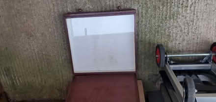 Photo of free 3 insect draws (Little Herberts GL53) #4