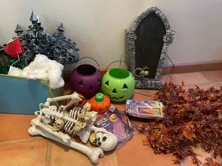 Photo of free Halloween decor/accessories (West Hills) #1
