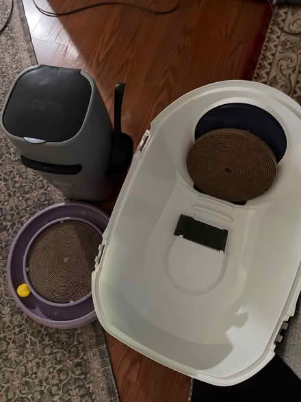 Photo of free Used cat supplies (Near Murray and Hart) #1