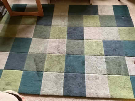 Photo of free Thick Pile Rug (Staveley LA8) #1
