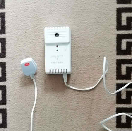 Photo of free Nighthawk carbon monoxide alert (Brookvale RG21) #1