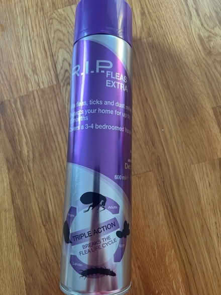 Photo of free Flea spray (Tunbridge wells TN4) #1