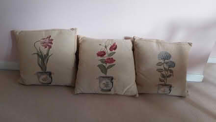 Photo of free Cushions (Callow End WR2) #1