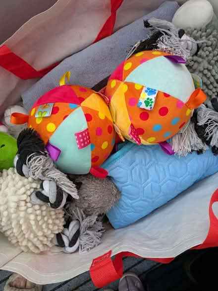 Photo of free Dog stuff (Westgate LA4) #2