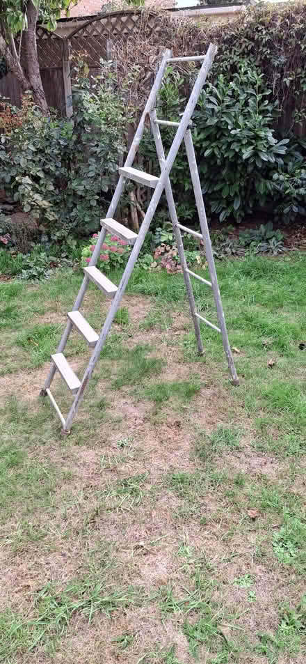 Photo of free Extendable metal ladder (Lexden CO3) #1
