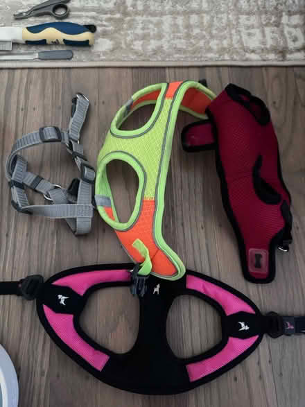 Photo of free Dog supplies (North Highlands) #2