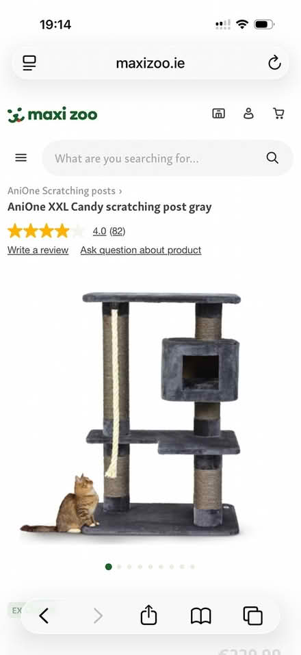 Photo of free Brand new cat tree (Greystones) #1