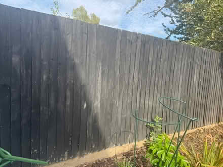 Photo of free Fencing (Forest Gate E7) #1