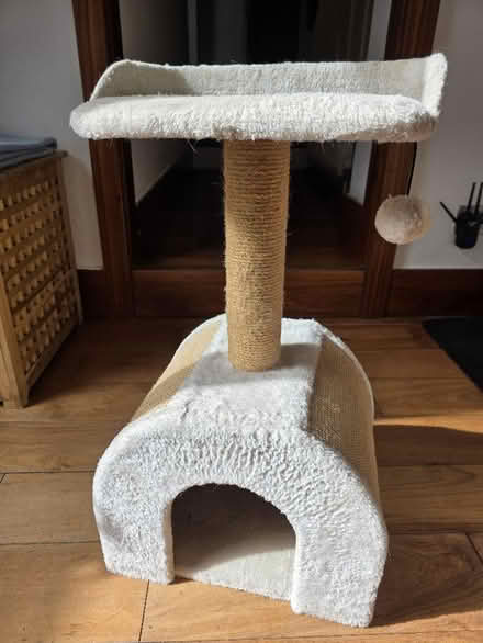 Photo of free Cat tower (Ravenscourt Park W6) #1
