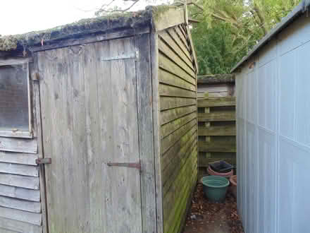 Photo of free 10'x7' Wooden Garden Shed (Carlton Colville NR33) #2