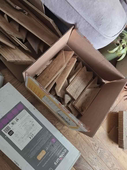 Photo of free Vintage Oak Herringbone Floor (Prestwich M25) #4