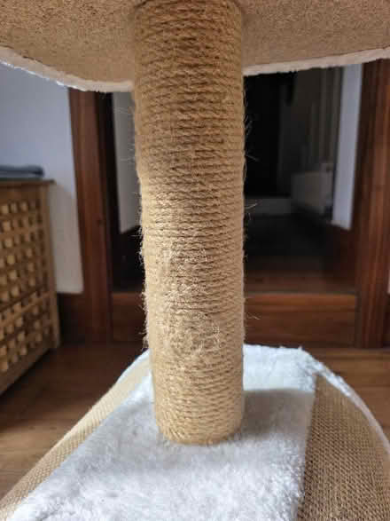 Photo of free Cat tower (Ravenscourt Park W6) #2