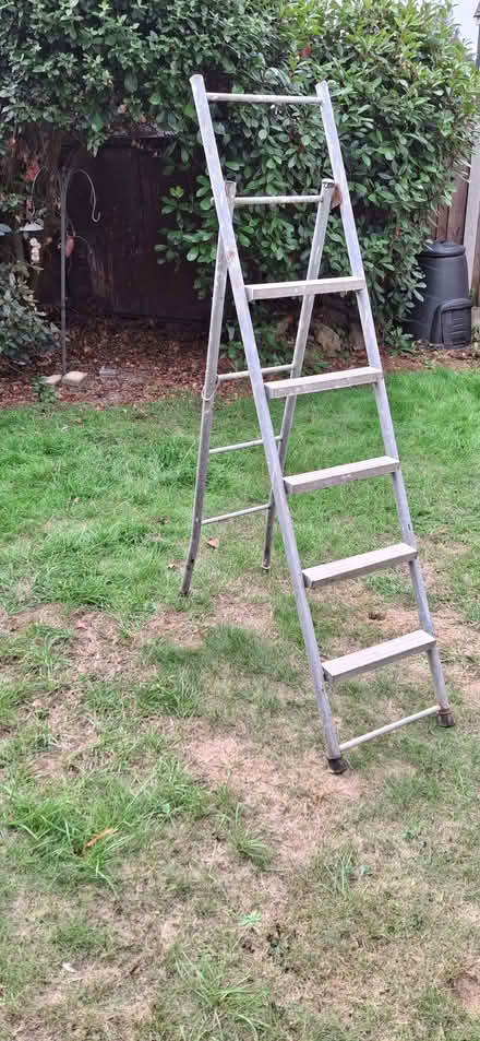 Photo of free Extendable metal ladder (Lexden CO3) #2