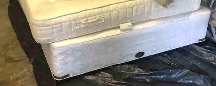 Photo of free King size bed (TN4ORT) #1