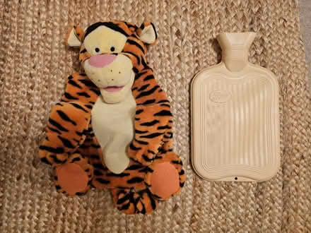 Photo of free Tigger hot water bottle (Surbiton, KT6) #1