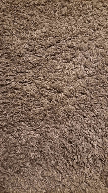 Photo of free Large next rug (Epping CM16) #2