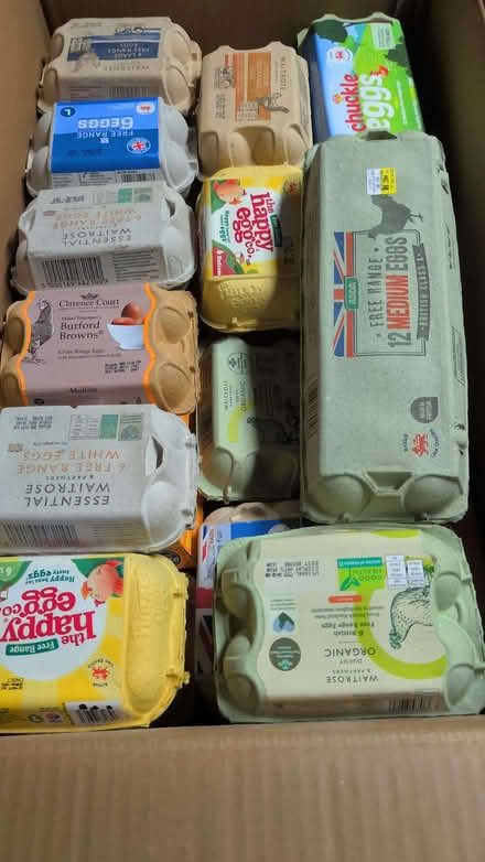 Photo of free diatomaceous earth and empty egg cartons (Magham Down BN27) #1