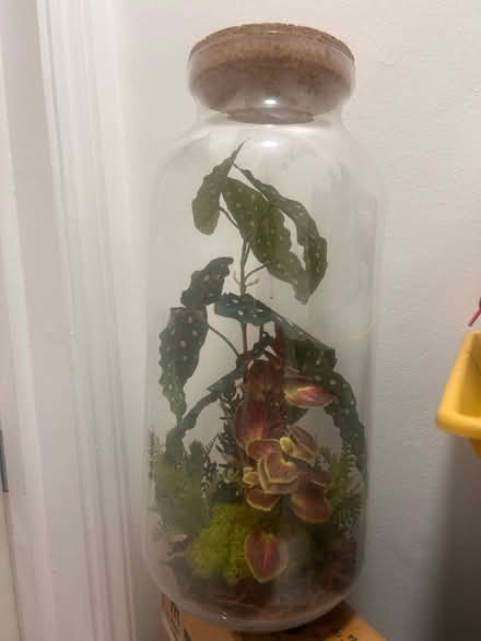 Photo of free 20x9cm Fake Plant Terrarium (SE1 Kent Road) #1
