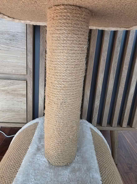 Photo of free Cat tower (Ravenscourt Park W6) #4