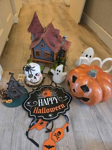 Photo of free Halloween Decorations (Blackborough End PE32) #1