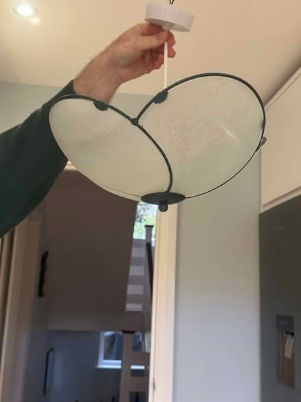 Photo of free Frosted Glass Pendant Style Chandelier Ceiling Lamp (Lewes BN7) #4