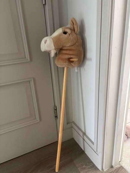 Photo of free Children’s hobby horse (Pangbourne RG8) #1