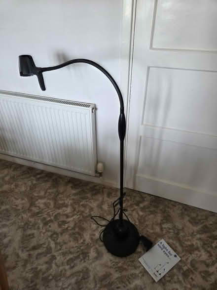 Photo of free Serious reader standard lamp (Brighton BN1) #1