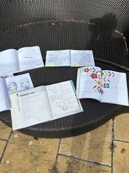 Photo of free colouring & things to draw books (Pilgrims hatch CM15) #2