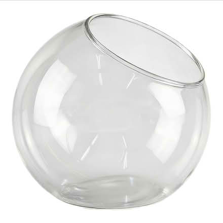 Photo of Glass terrarium / similar container (Charnock S12) #2