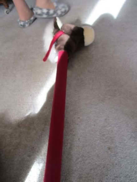 Photo of free Another hobbyhorse. (Innsworth GL3) #1