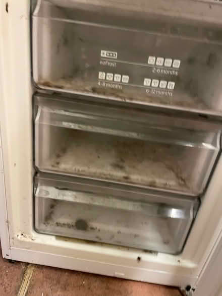 Photo of free Siemens fridge freezer (Sidmouth EX10) #3