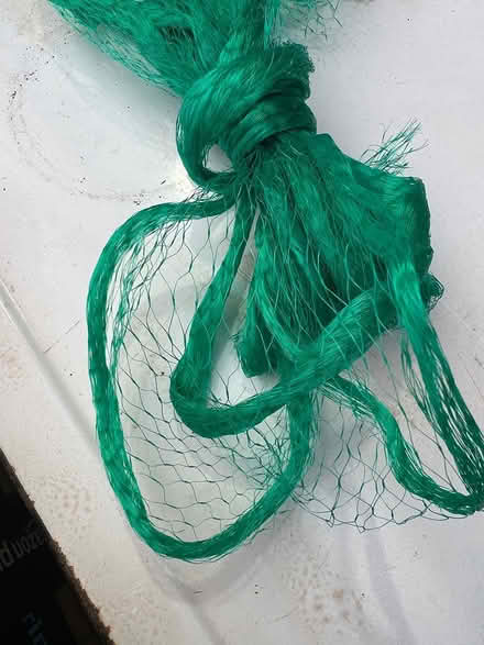 Photo of free Garden netting (Bromsgrove B61) #2