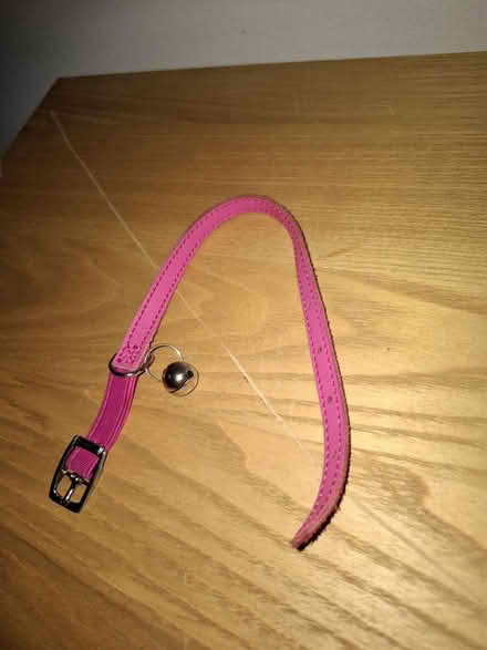 Photo of free Pink cat collar (Feltham TW14) #1