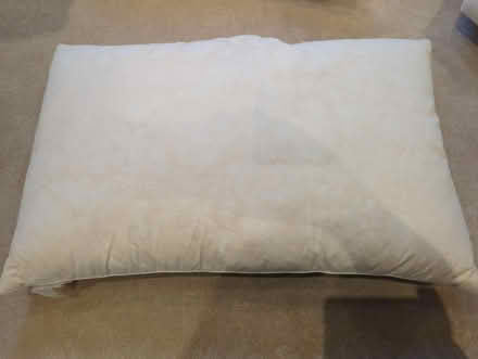Photo of free Feather pillow (Chapel End E17) #2