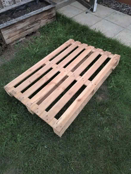 Photo of free Medium sized pallet (Bearsted ME15) #1