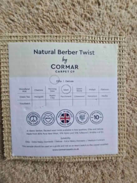 Photo of free Carpet (Great Sutton CH66) #4