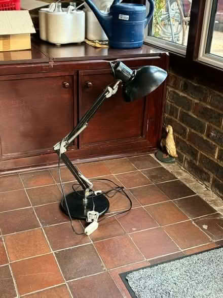 Photo of free Anglepoise Type Lamp (Steyning BN44) #1