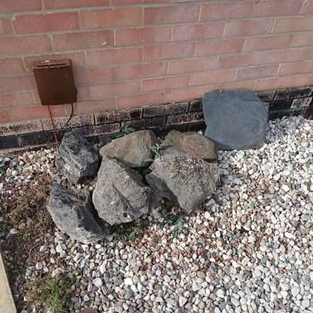 Photo of free Selection of rocks from garden (Spixworth NR10) #1