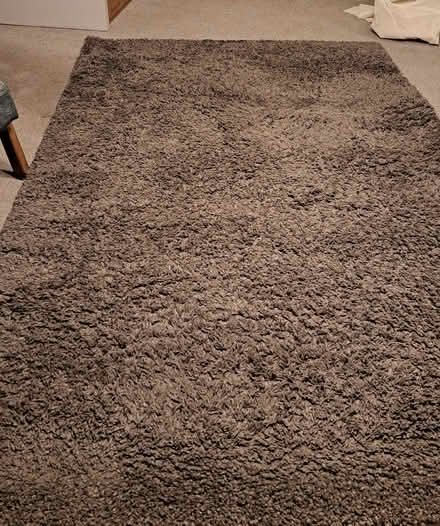 Photo of free Large next rug (Epping CM16) #1