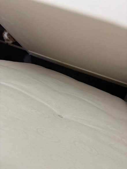 Photo of free mattress (Forest Gate E7) #2