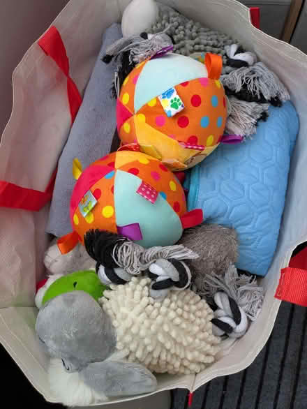 Photo of free Dog stuff (Westgate LA4) #1