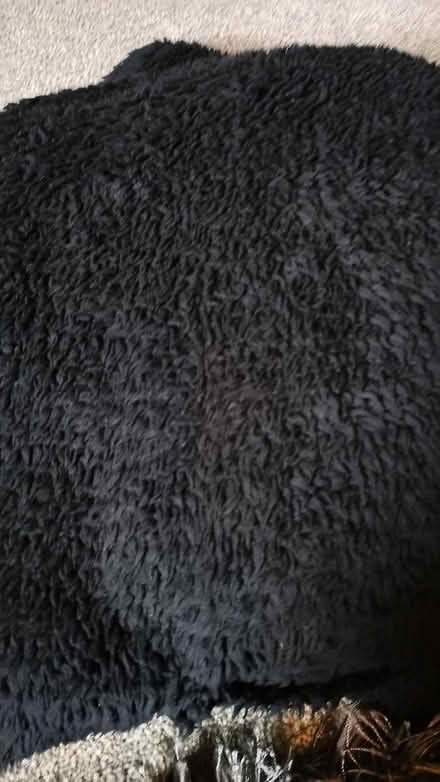 Photo of free Gents black fleecy dressing gown (Chesser EH14) #1