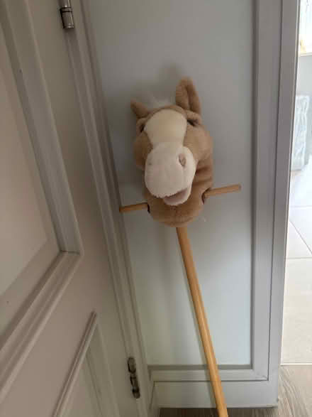 Photo of free Children’s hobby horse (Pangbourne RG8) #2